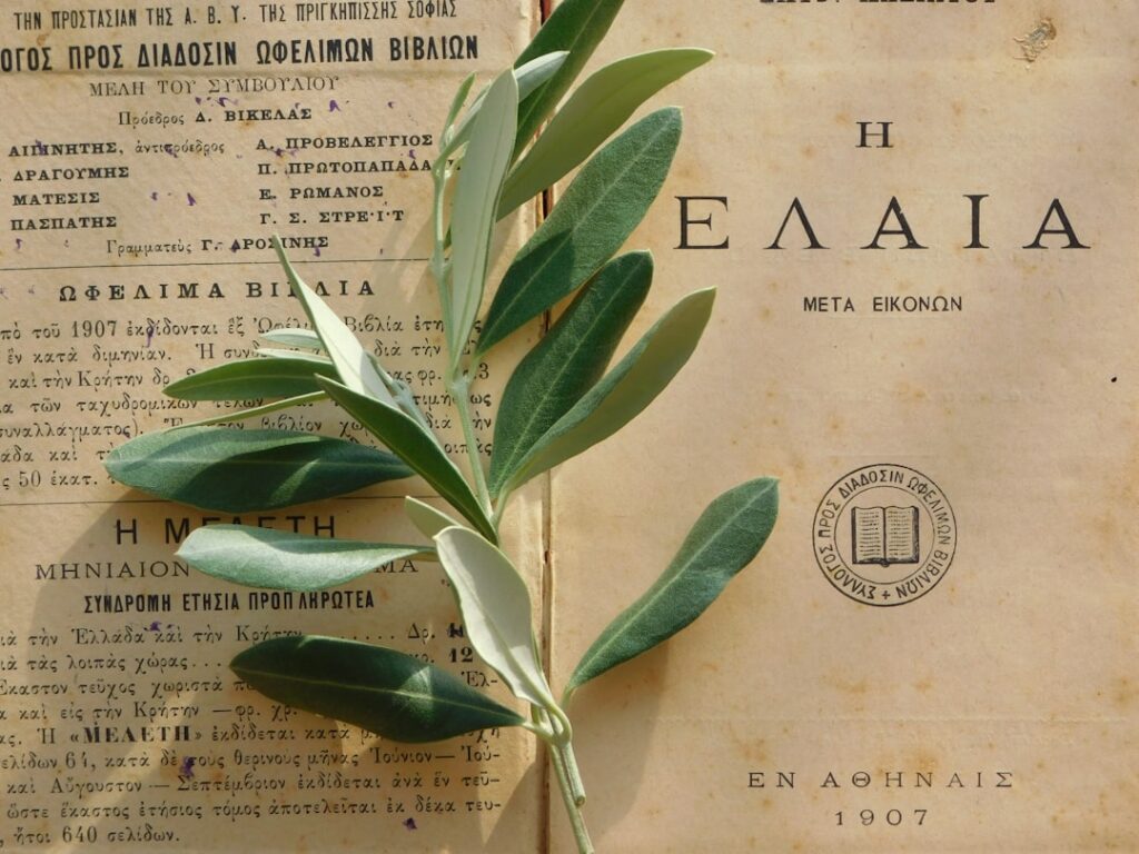 Photo European taxonomy