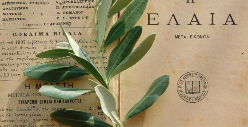 Photo European taxonomy