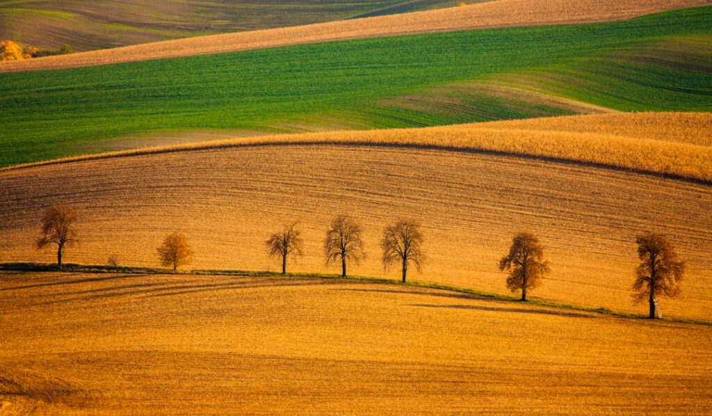 Photo European taxonomy in agricultural insurance: Method for reinsurers