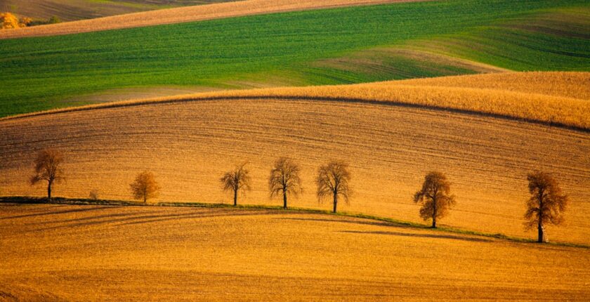 Photo European taxonomy in agricultural insurance: Method for reinsurers