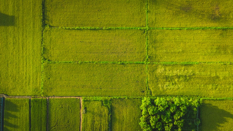 Photo European taxonomy in agricultural insurance: Method for reinsurers
