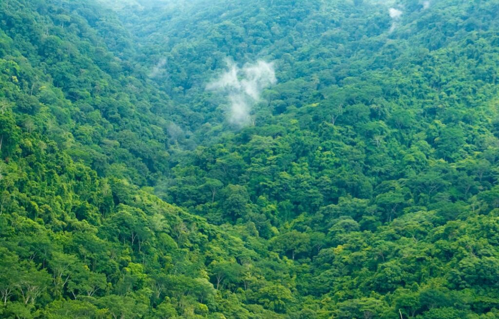 Photo Biodiversity