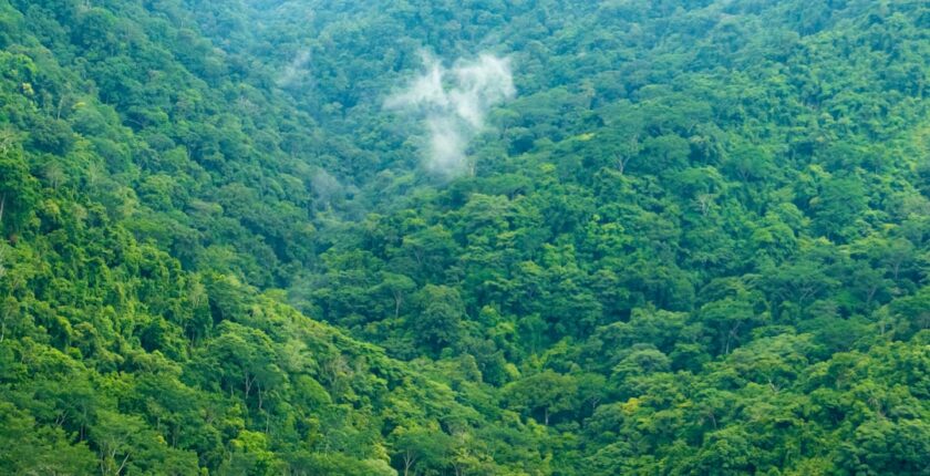 Photo Biodiversity