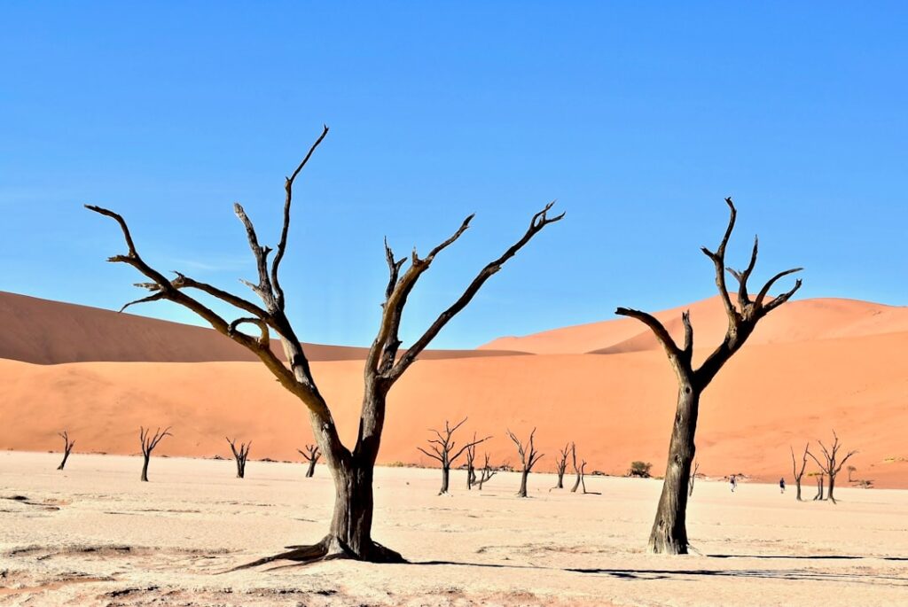 Photo desertification assurantielle