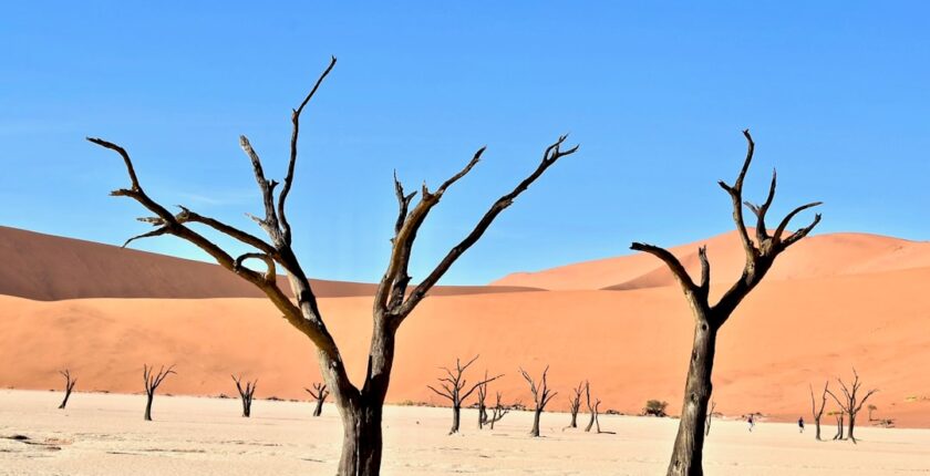 Photo desertification assurantielle