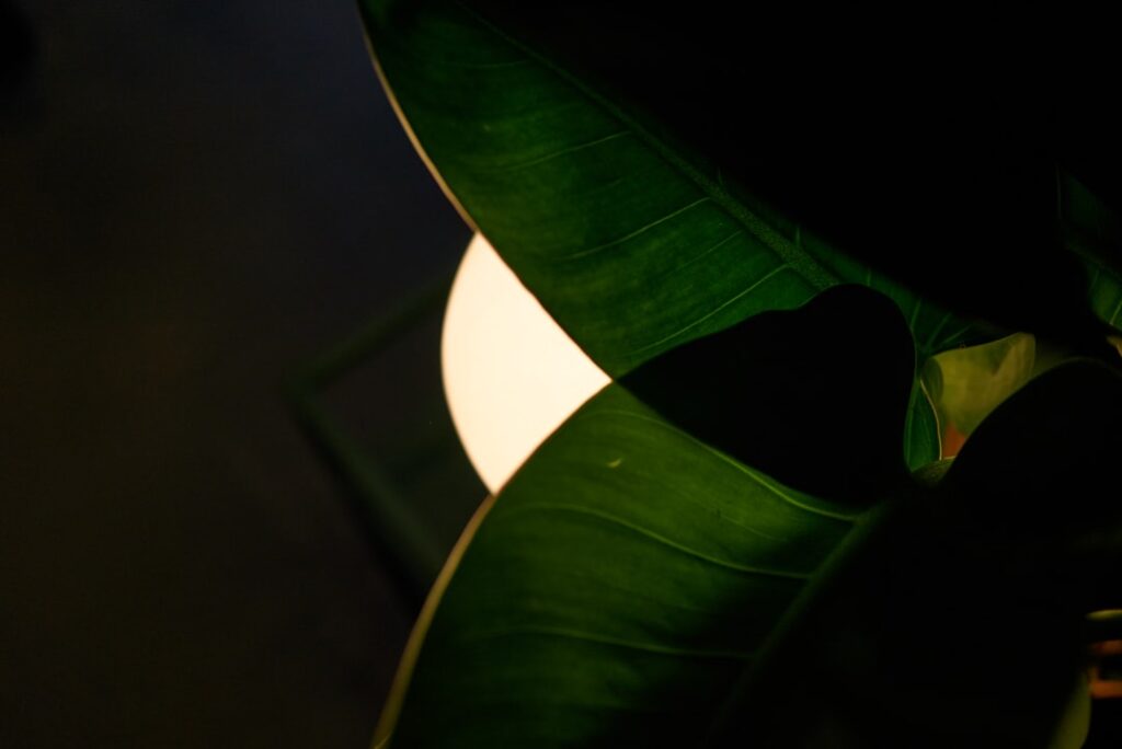 Photo simplification