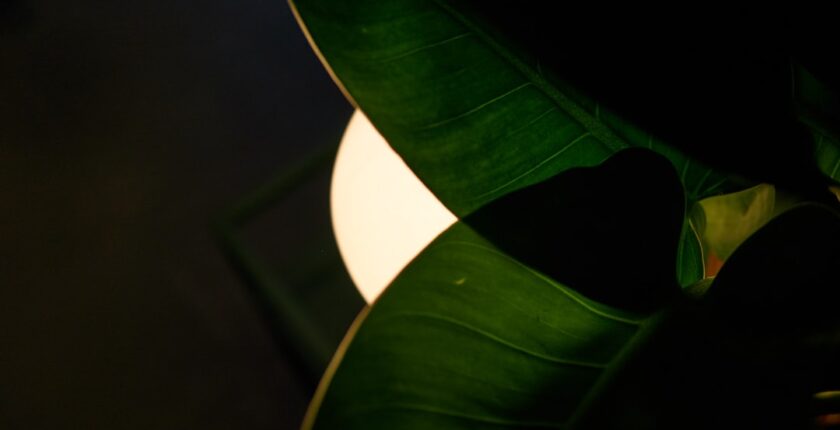 Photo simplification