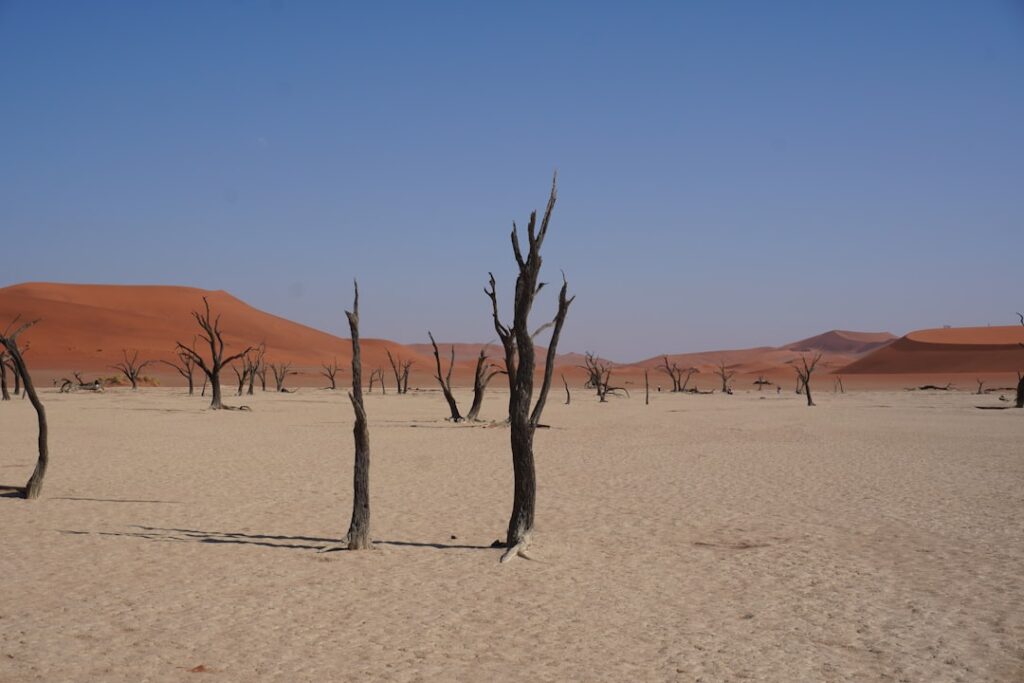 Photo Desertification assurantielle