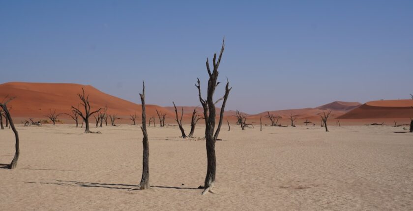 Photo Desertification assurantielle