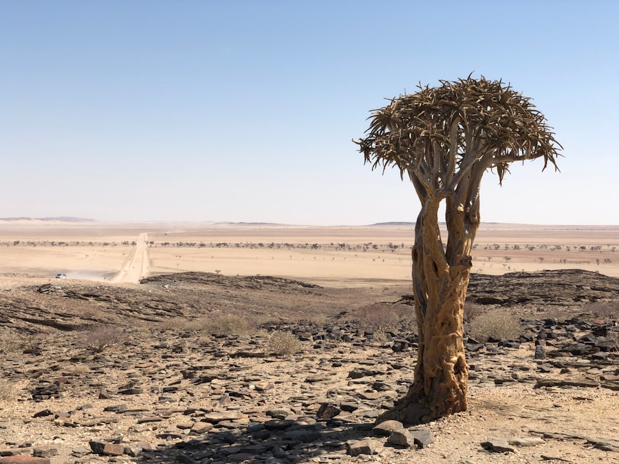 Photo Desertification assurantielle