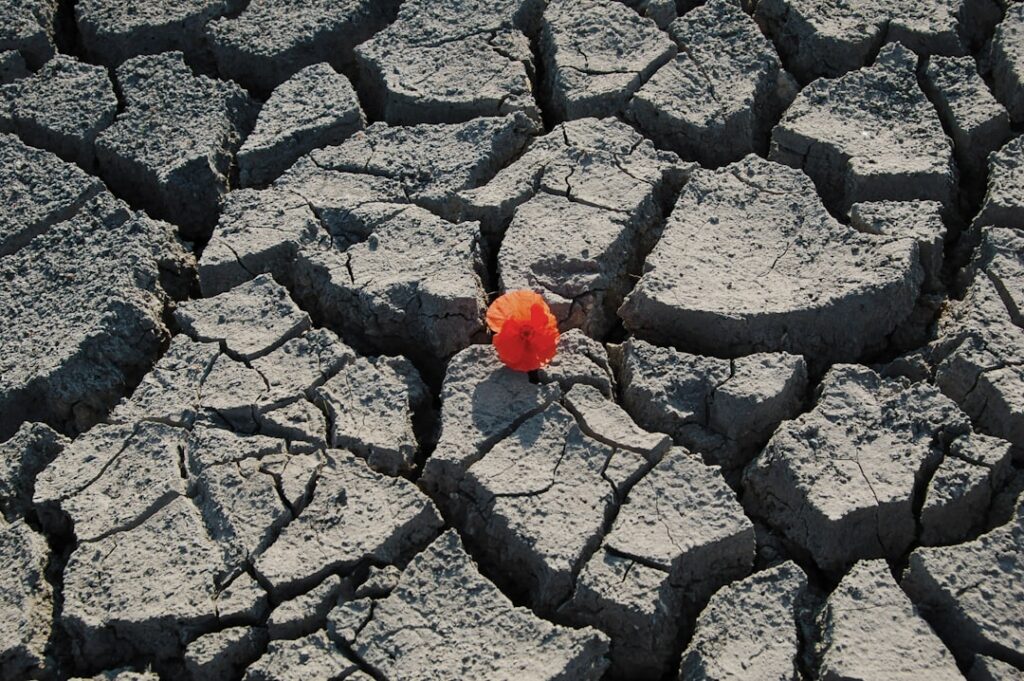 Photo resilience