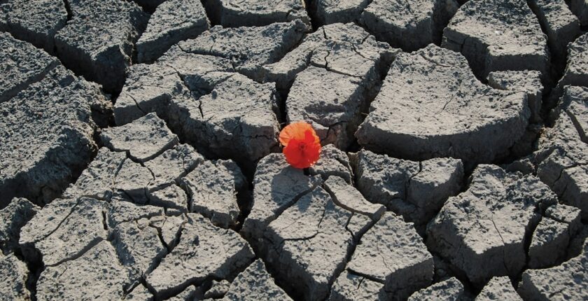 Photo resilience