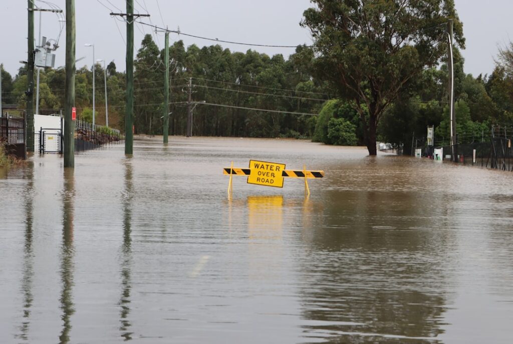 Photo floods