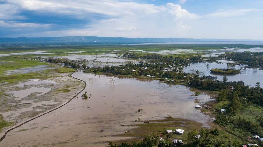 Photo floods