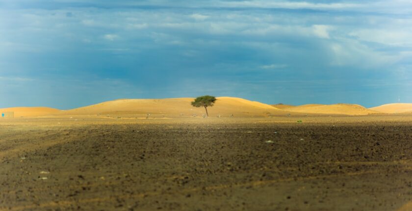 Photo resilience