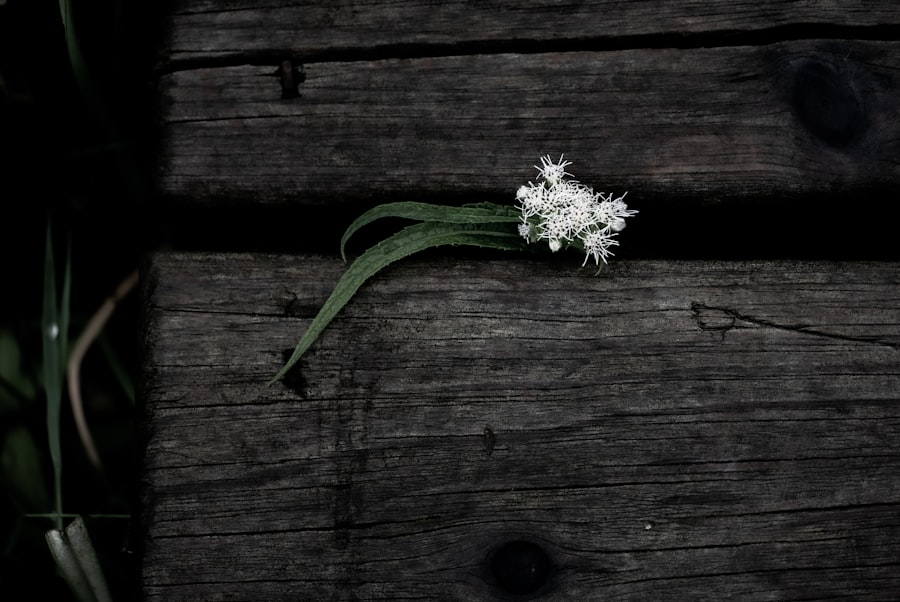 Photo resilience