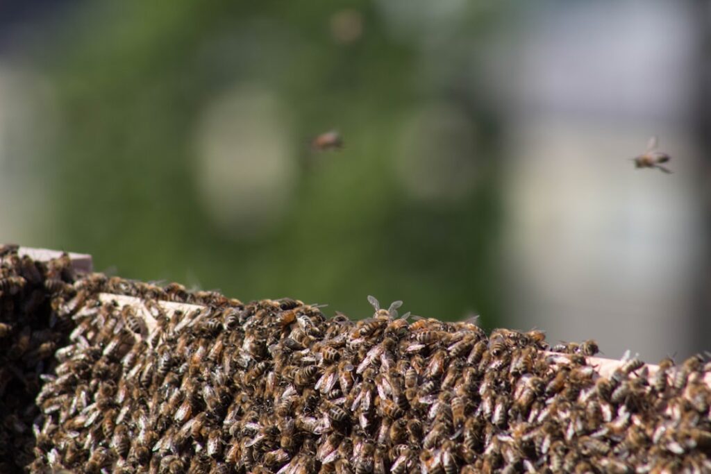 Photo API architecture optimization