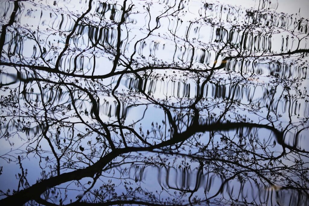 Photo complexity