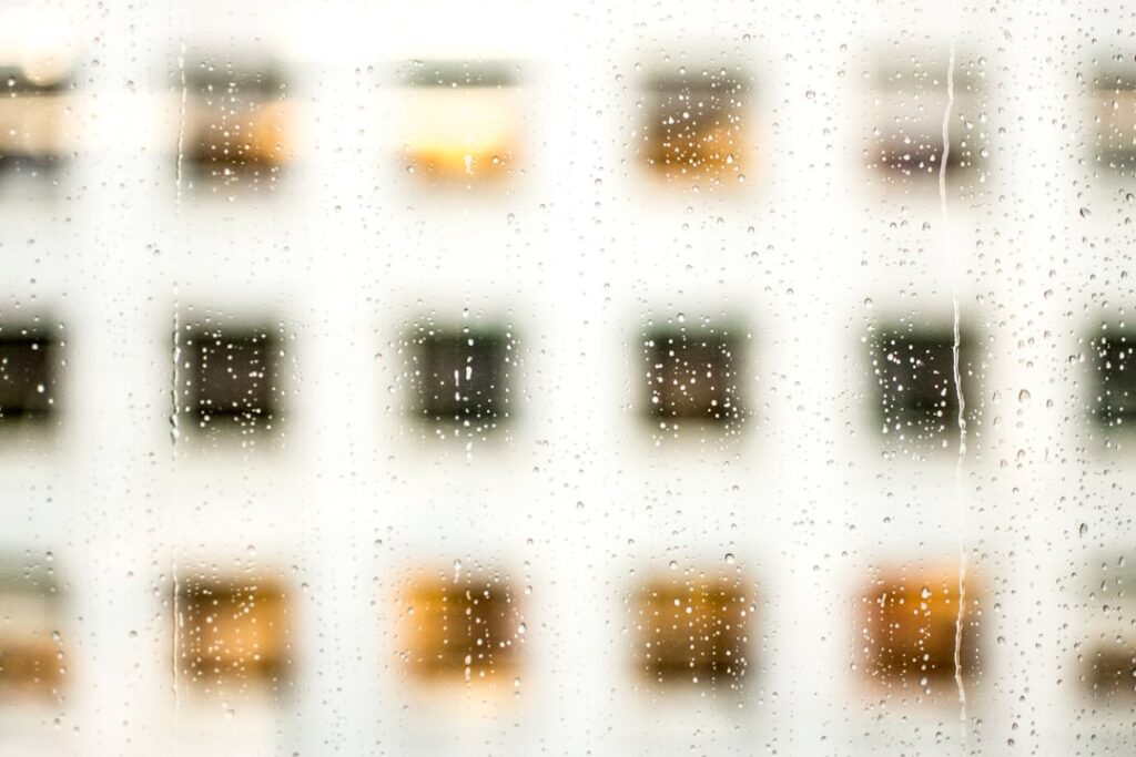 Photo transparency