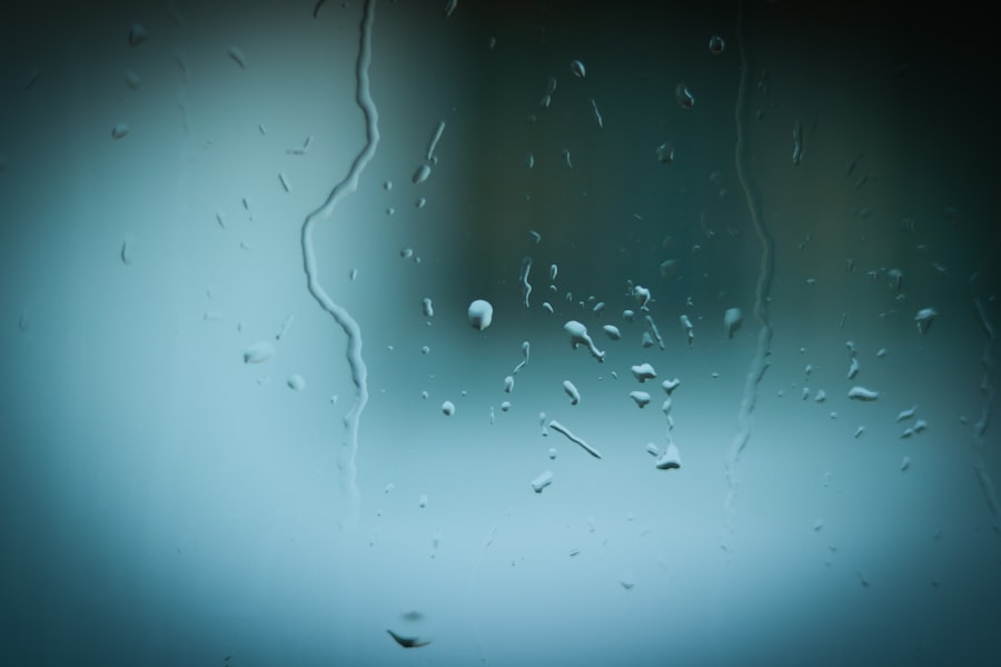 Photo transparency