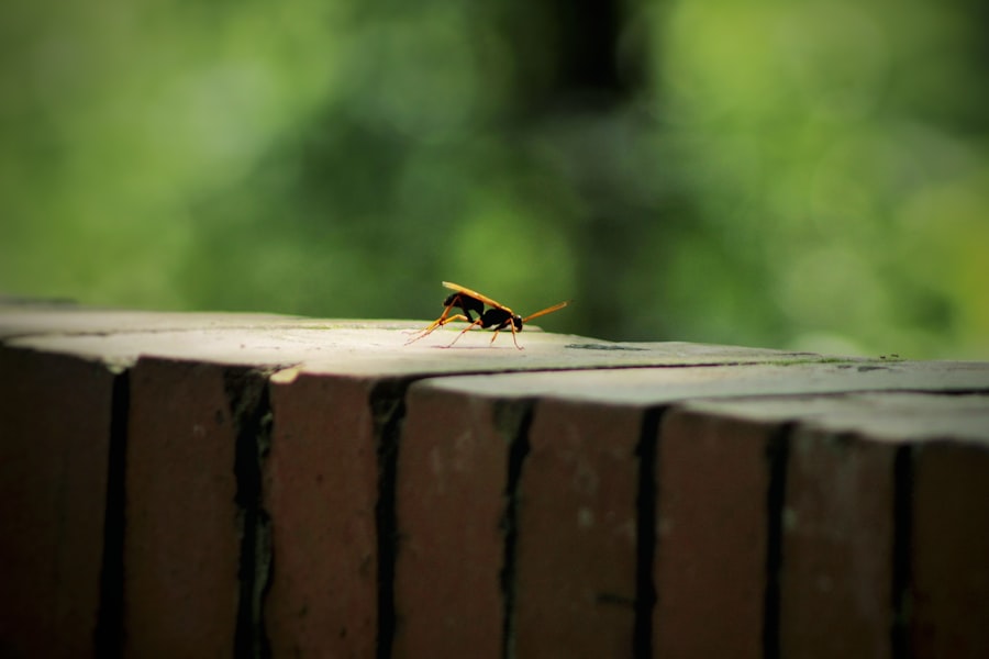 Photo API governance