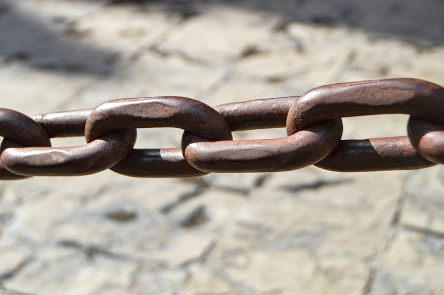 Photo value chain optimization