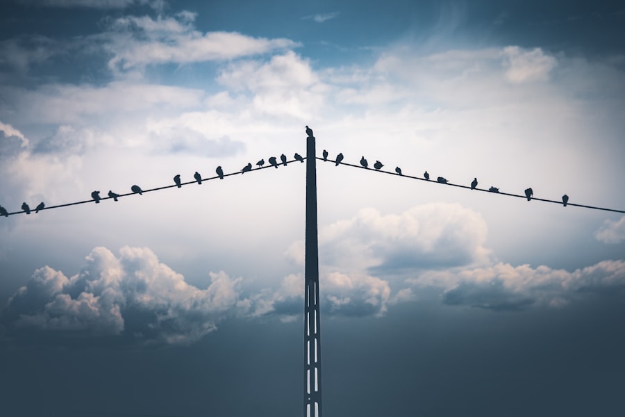 Photo Agile transformation at scale: effective leaders