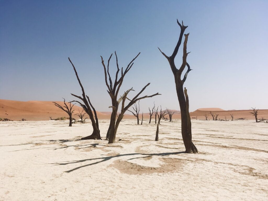 Photo Desertification assurantielle