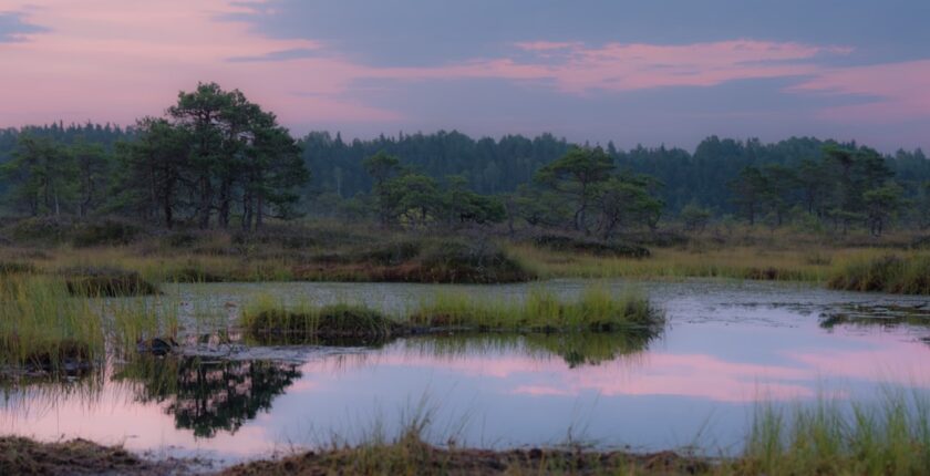 Photo biodiversity