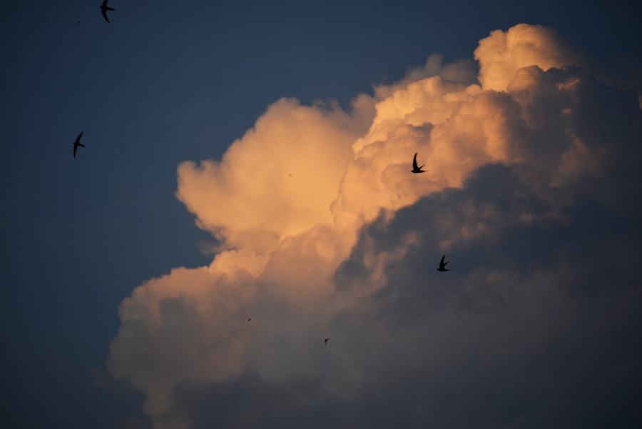 migration cloud