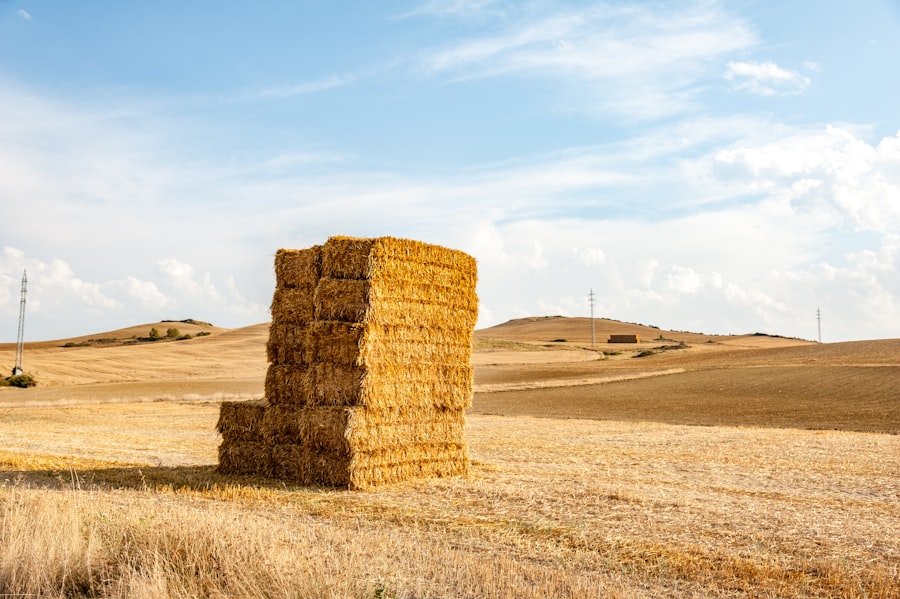 agricole insurance