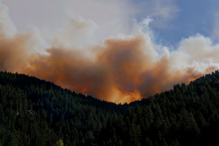 wildfire insurance