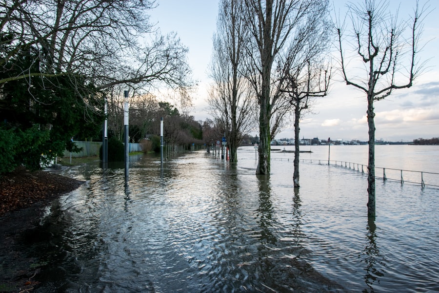 flood insurance