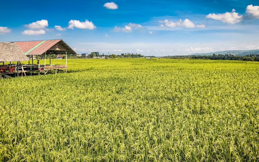 SFDR agricultural insurance