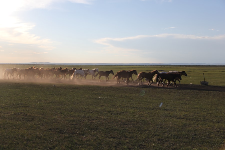 Photo Migration cloud