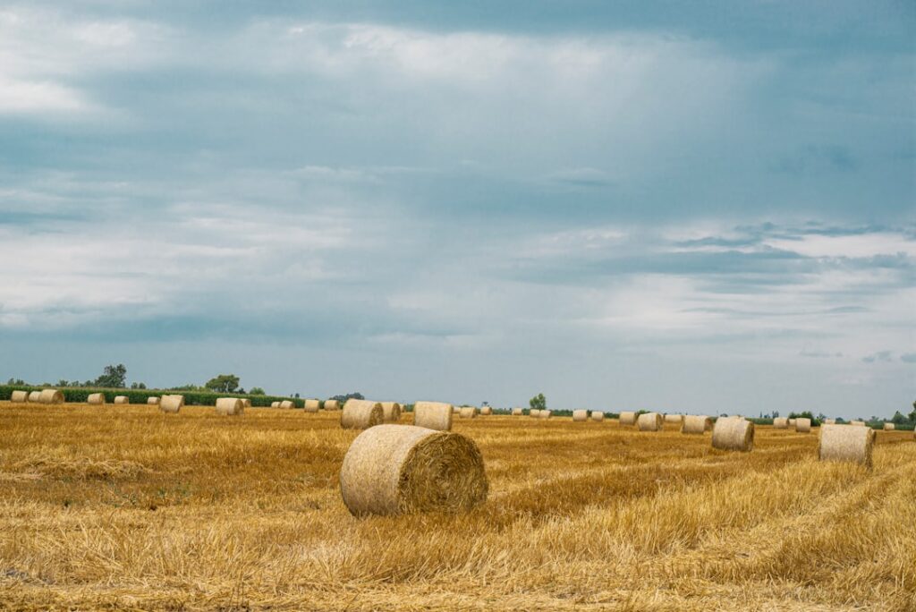 Photo SFDR agricultural insurance