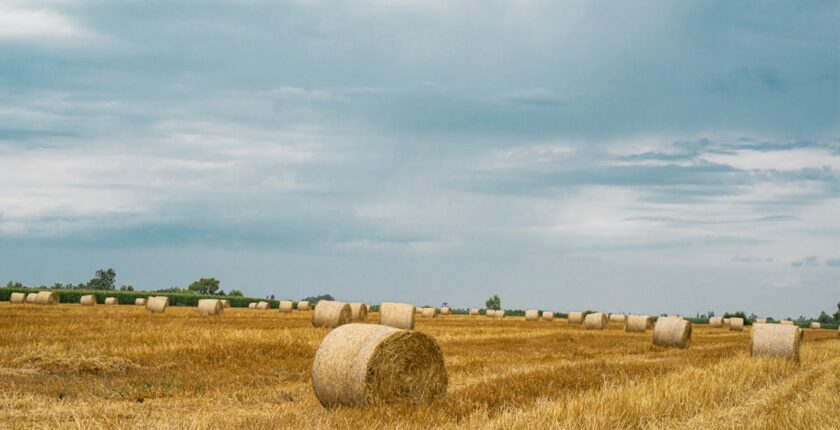 Photo SFDR agricultural insurance