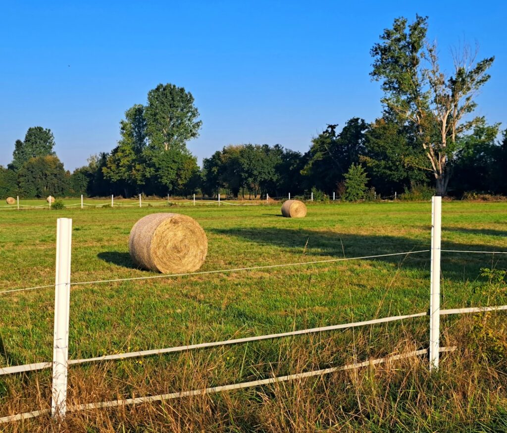Photo Agricultural insurance