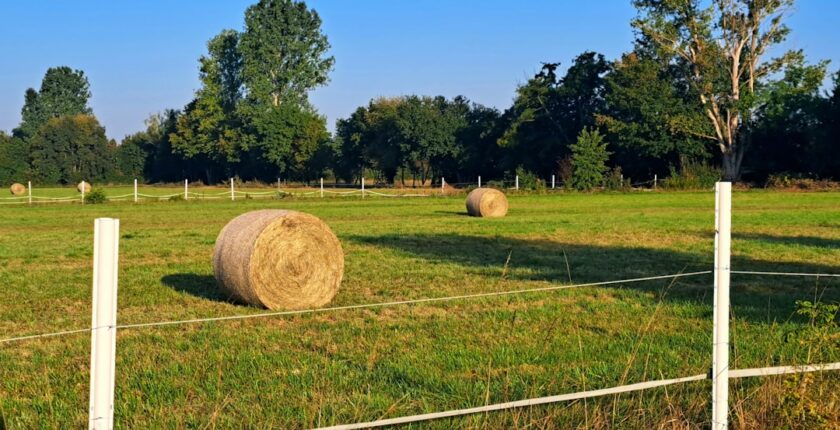 Photo Agricultural insurance