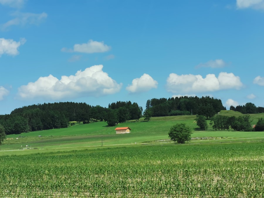 Photo Agricultural insurance
