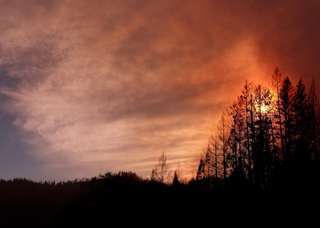 Photo Forest fires