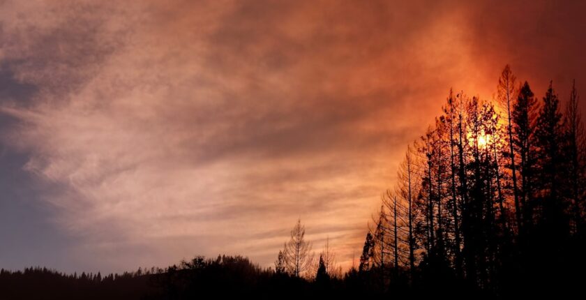 Photo Forest fires