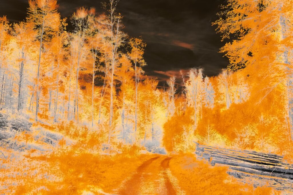 Photo wildfire insurance