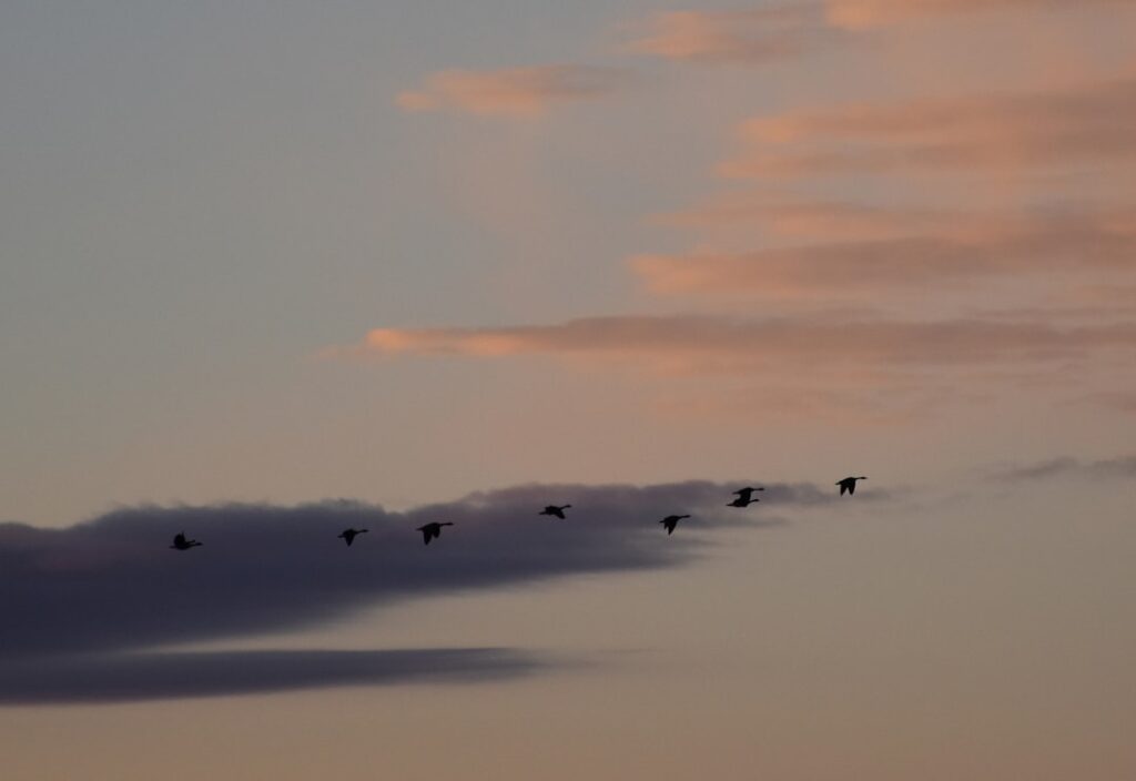 Photo Migration Cloud