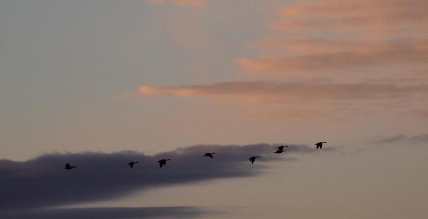 Photo Migration Cloud