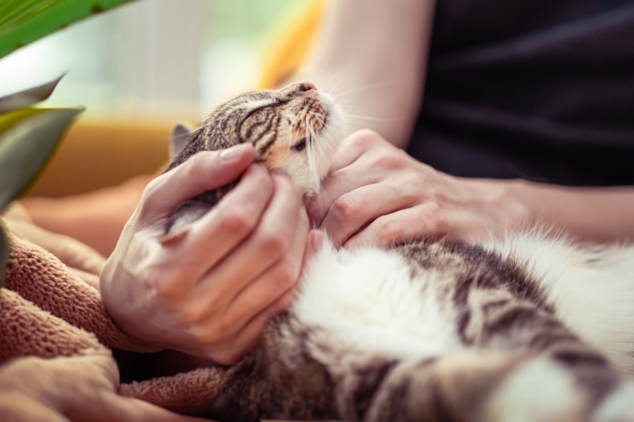 Photo cat bonds