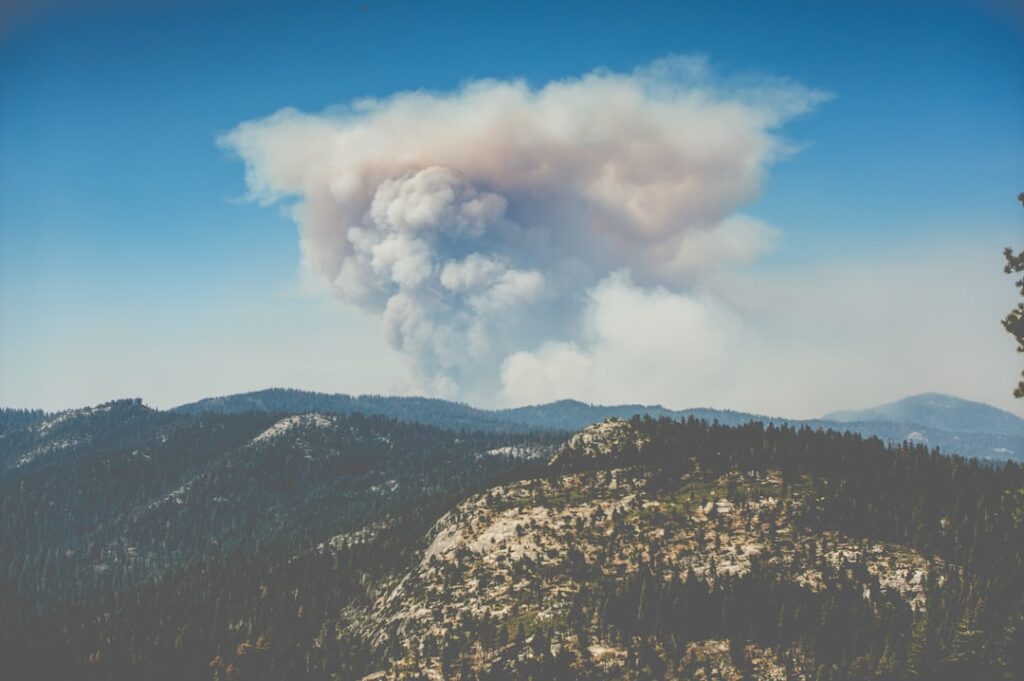 Photo Forest fires