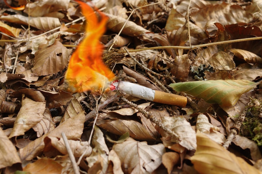 Photo Forest fires