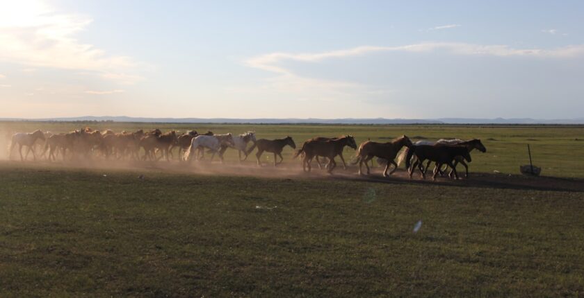 Photo migration cloud