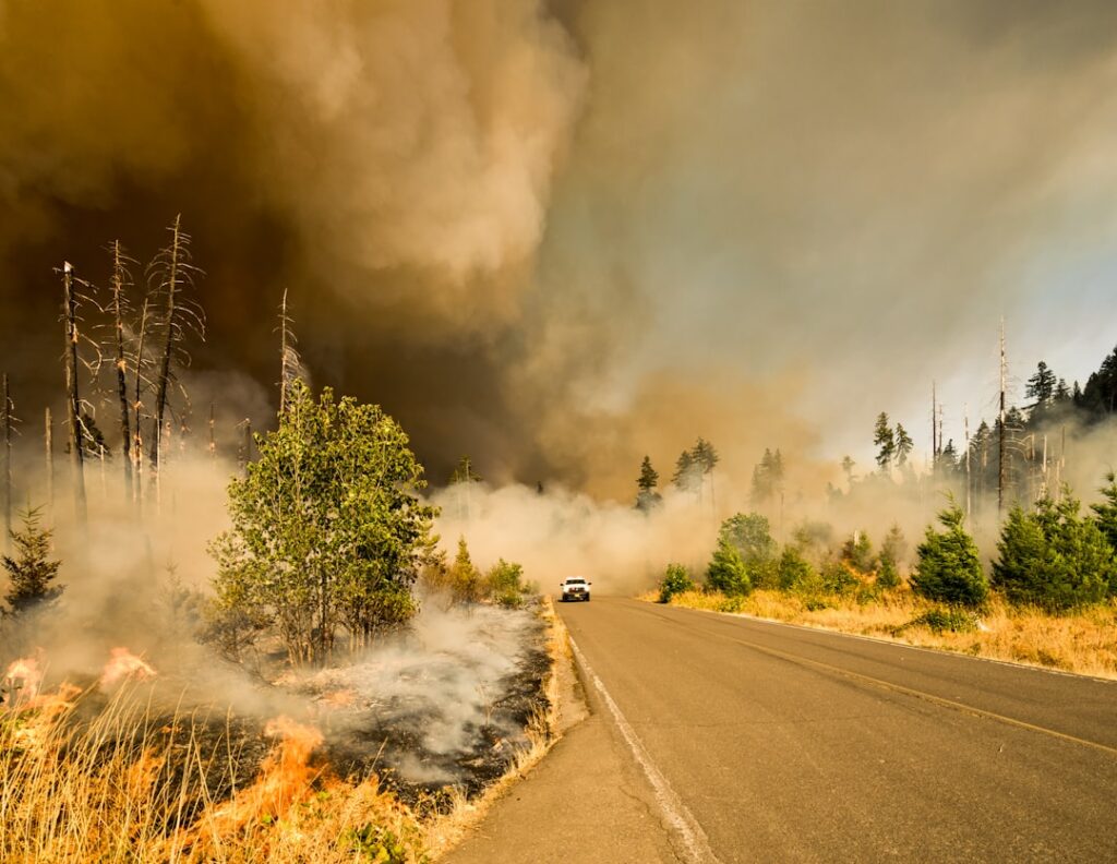 Photo wildfire insurance